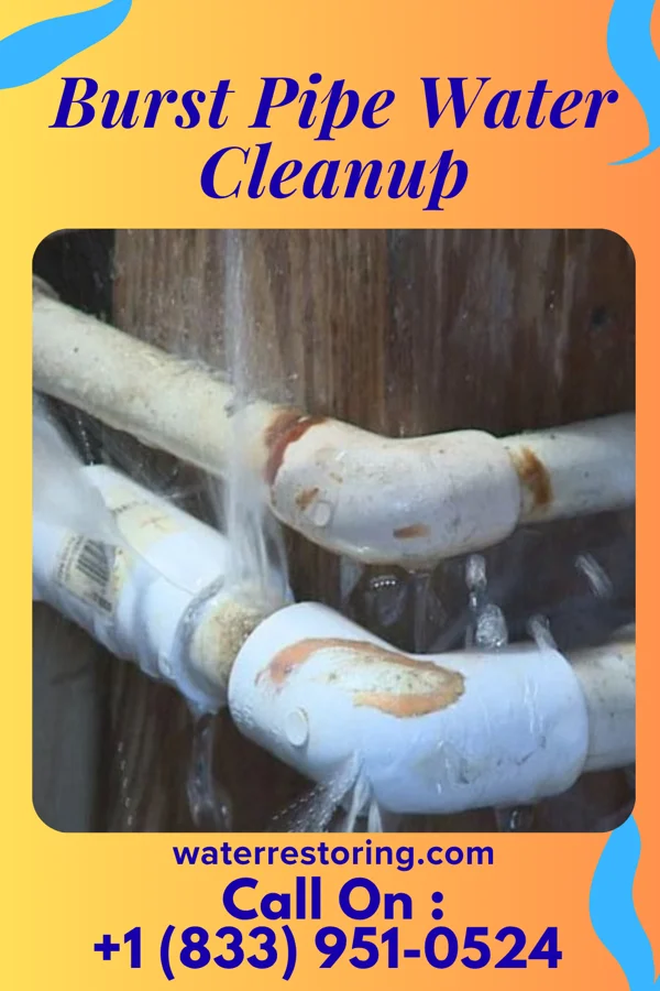 Burst Pipe Water Cleanup in Mill Creek, IL
