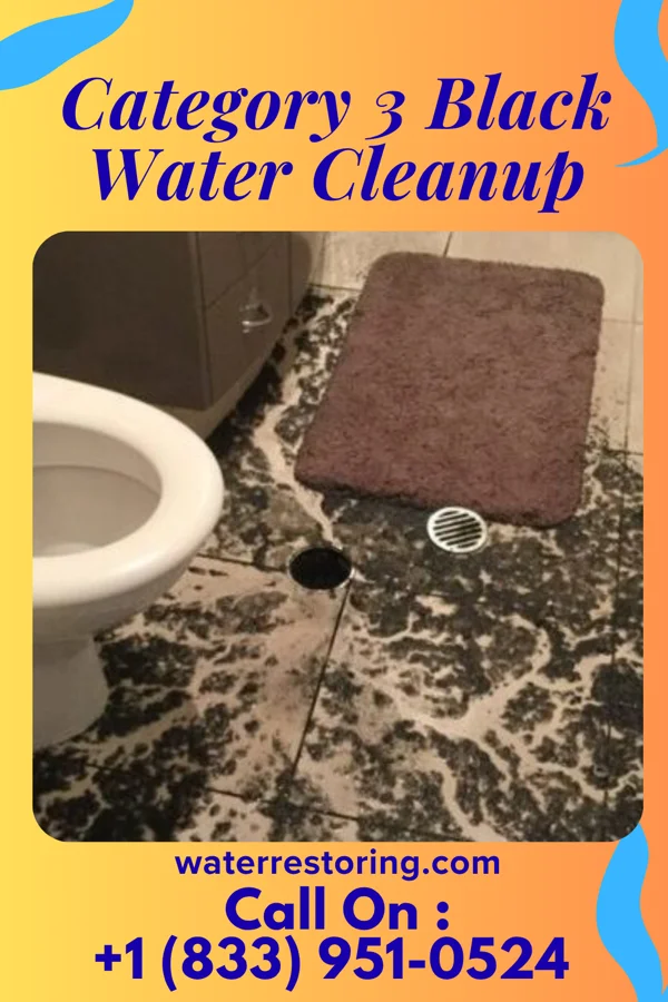 Category 3 Black Water Cleanup in Mill Creek, IL