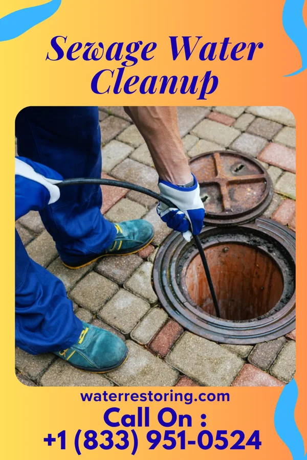 Sewage Water Cleanup in Mill Creek, IL