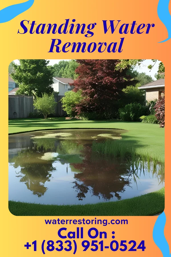 Standing Water Removal in Mill Creek, IL